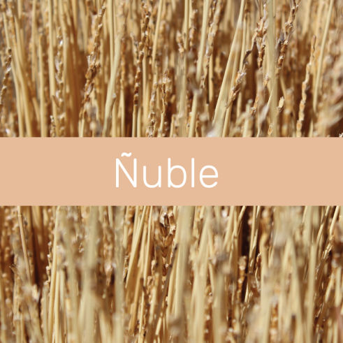 ñuble