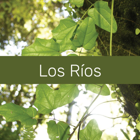 rios