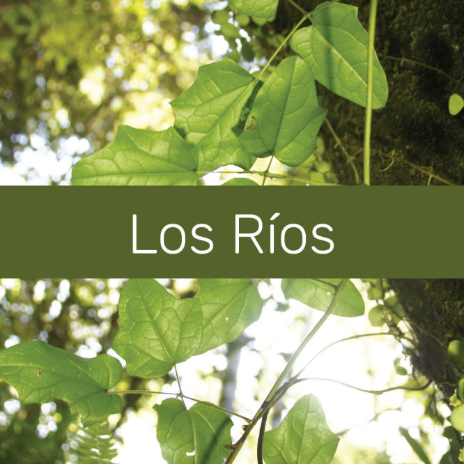 rios